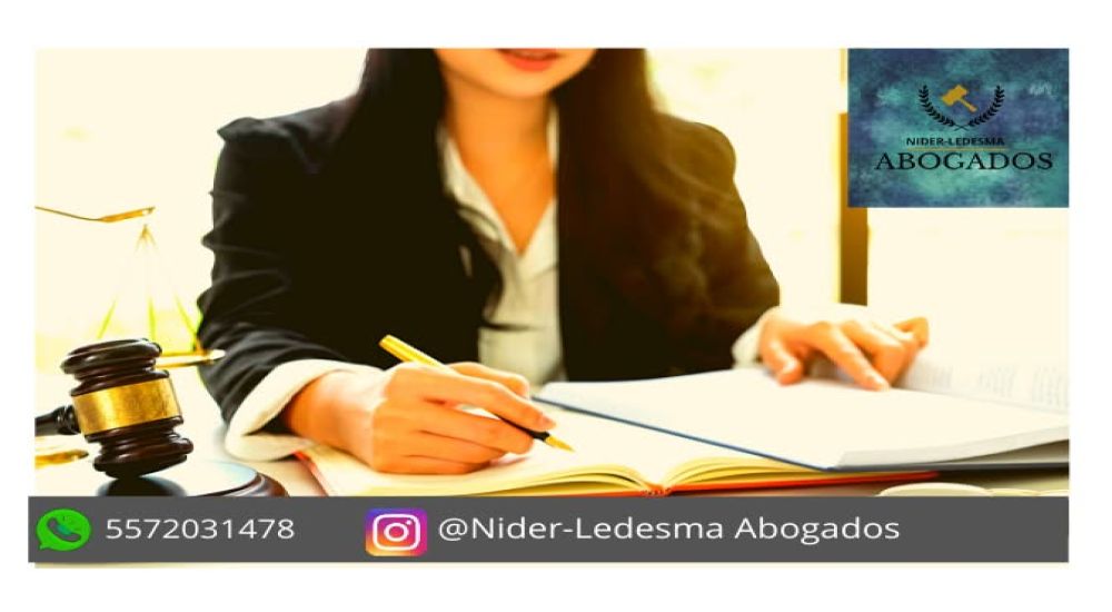 Portada de NIDER-LEDESMA-CASTANEDA